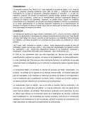 Caso empresa molinera Puro Norte S.A.C