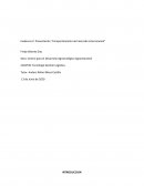 Evidencia 2: Presentación “Comportamiento del mercado internacional”