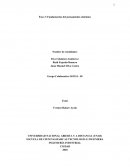 Fundamentos del pensamiento sistémico