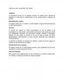 Cadena de valor: Lavandería ¨San Juditas¨