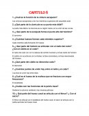 Capitulo 8 ¿Cuál es la función de la cintura escapular?