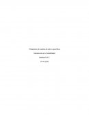 GROSVE LTDA. ASESORIA NORMAS INTERNACIONALES DE CONTABILIDAD