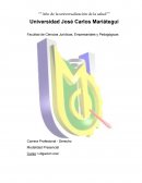 La teoría de la imputación objetiva: Fundamentos dogmáticos y evolución conceptual