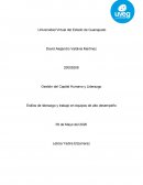 Estilos de liderazgo y trabajo en equipos de alto desempeño