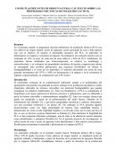 ELABORACION DE PLASTIFICANTES DE ORIGEN NATURAL