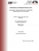 PRÁCTICA N° 2 Metalografía
