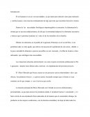 Introducción, Micro Mercado