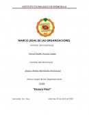 MARCO LEGAL DE LAS ORGANIZACIONES