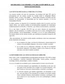 SOCIOLOGÍA Y ECONOMÍA. UNA RELACIÓN DIFÍCIL. LAS CIENCIAS SOCIALES
