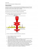 Clases Hugo - Equipamiento de superficie de control de pozos