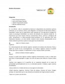 Marketing “ABOCAS CIX”