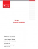 Estudio de Factibilidad