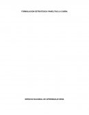 FORMULACION ESTRATEGICA PANELITAS LA CABRA