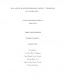 Canales y redes de distribucion