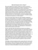 Maternidad Subrogada ¿Derecho o Negocio?