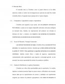 Mercado meta Colombia