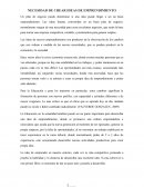 NECESIDAD DE CREAR IDEAS DE EMPRENDIMIENTO