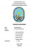 FOLKLORE DE LA COSTA PERUANA