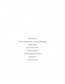 Control y ejecución en base a la prevención de Riesgos