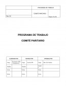 PROGRAMA DE TRABAJO. COMITÉ PARITARIO