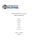 Ensayo de Antropología, ¿Quién soy yo?