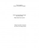 Plan de negocios. Empresa Informática Estratégica