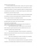 Segmentación de Mercado