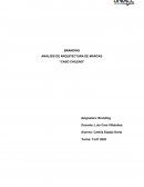 ANÁLISIS DE ARQUITECTURA DE MARCAS “CASO CHILENO”