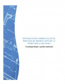 PROYECTO DE OPTIMIZACION AMBIENTAL