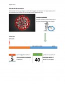 Ciclo de vida de coronavirus