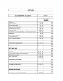 Analisis vertical activos usach