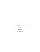 Relacionar principios básicos del fenómeno eléctrico a situaciones cotidianas