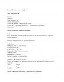 Formato Comenzando con el álgebra