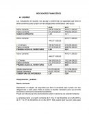 INDICADORES FINANCIEROS