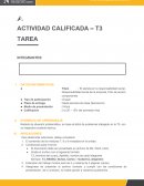 El planeta en la responsabilidad social, Responsabilidad social de la empresa, Plan de acción: componentes