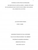 IMPLEMENTACIÓN DE HUERTAS CASERAS Y JARDINES VERTICALES EN LOS CENTROS DE ADULTO MAYOR