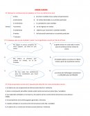 EJERCICIOS PRODUCTIVIDAD. VENTAS Y COSTOS