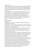 Consultoria y solucion de problemas.Plan de Acción