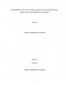 El uso de los video juegos en los nilos