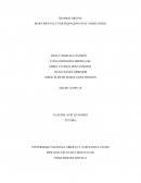 MAPA MENTAL Y PARTICIPACION EN EL VIDEO JUEGO