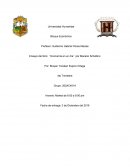 Ensayo del libro: ´´Economía en un día´´ por Macario Schettino