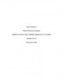 Tarea semana 1 FORMULACIÓN Y EVALUACIÓN DE PROYECTOS