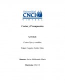 Costos fijos y variables