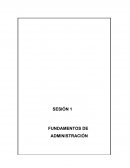 Trabajo Individual Final Racionalización Organizacional