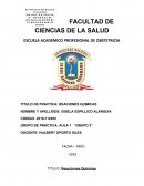 REACCIONES QUIMICAS INFORME DE QUIMICA