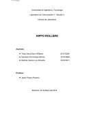 Informe de Laboratorio HIPPO ROLLERS