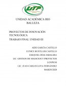 PROYECTOS DE INNOVACIÓN TECNOLÓGICA