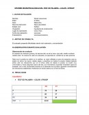 MODELOS DE INFORME STROOP