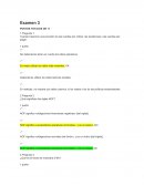 Análisis de los estados financieros de Fibertech