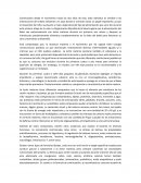 Resumen de la composición de la leche materna y de los sucedáneos de la leche materna